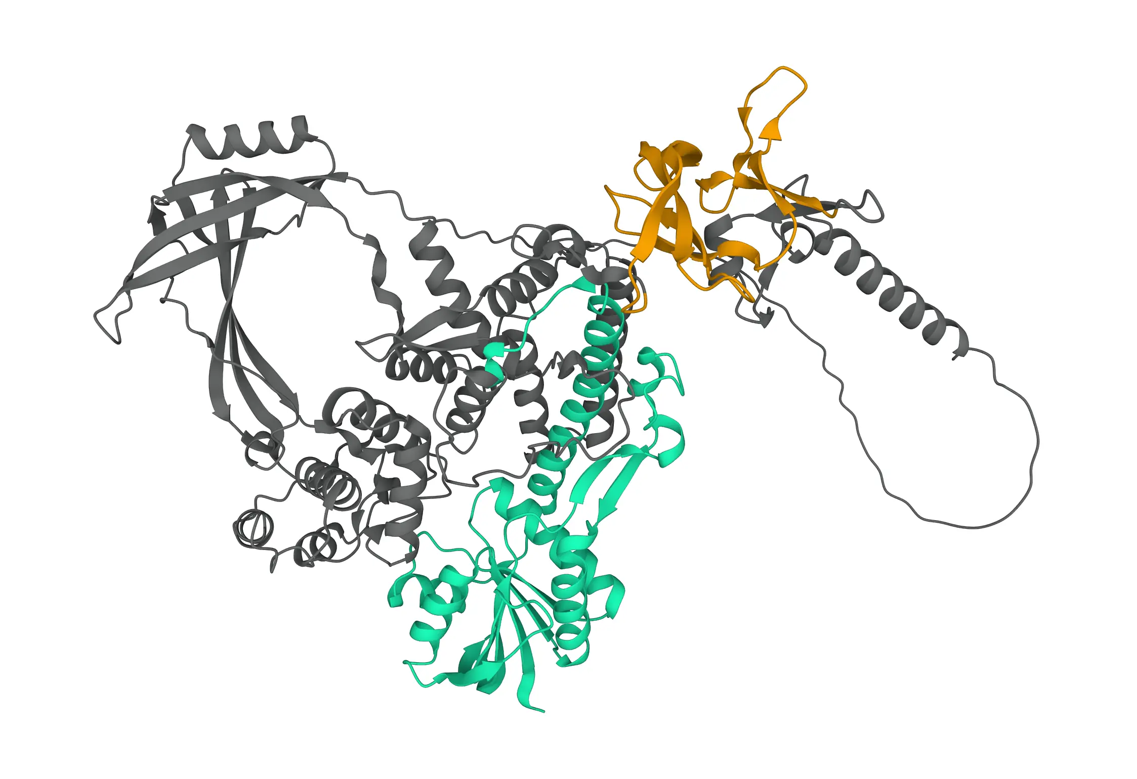 pae image 8