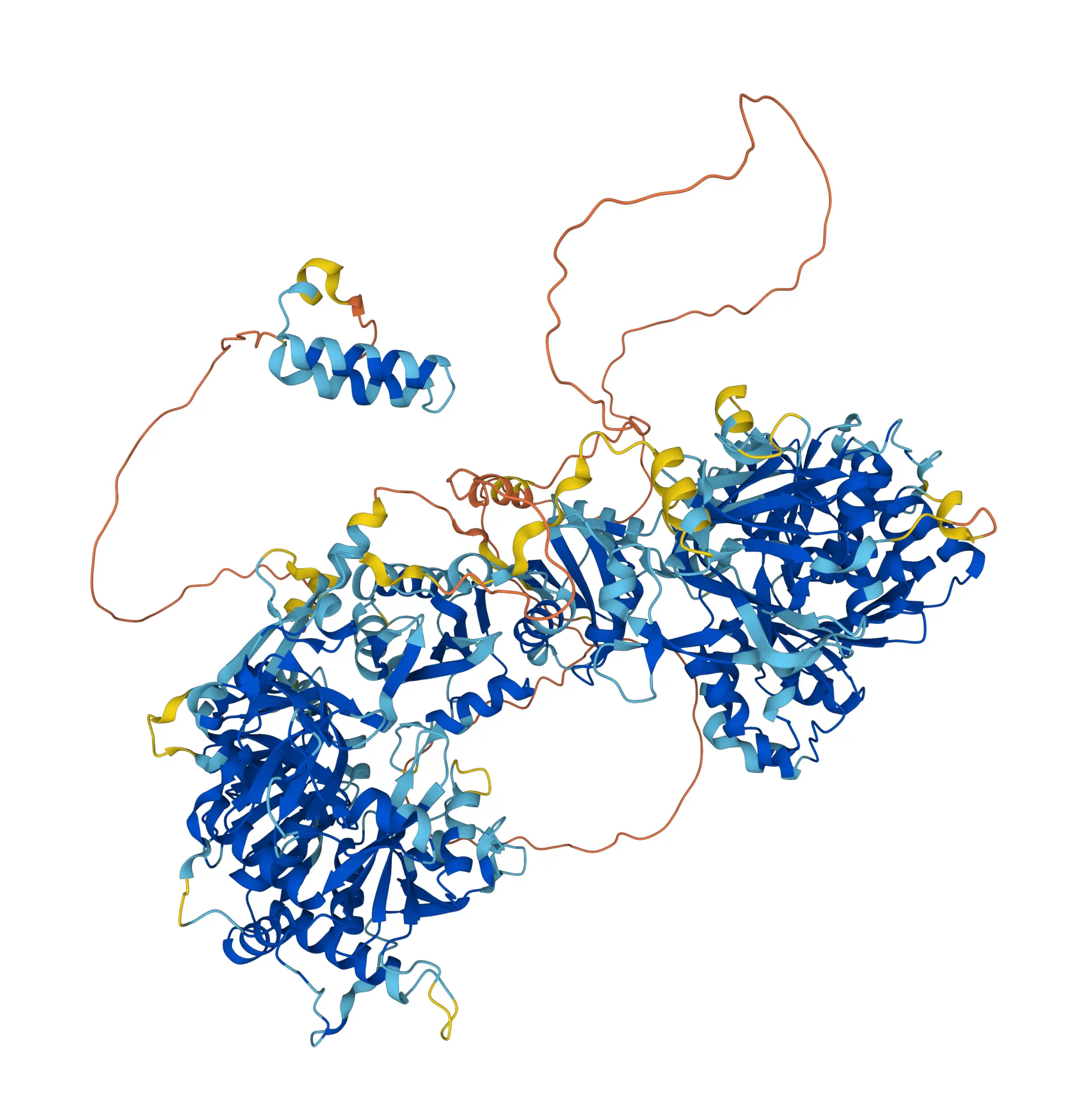 pae image 8