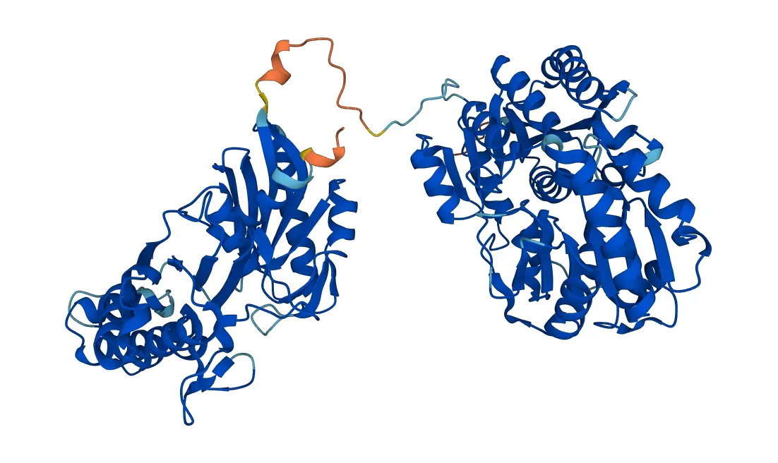 pae image 1