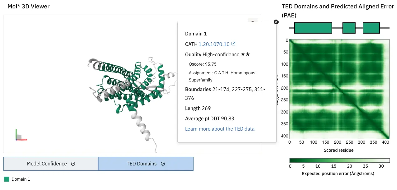 ted image 3