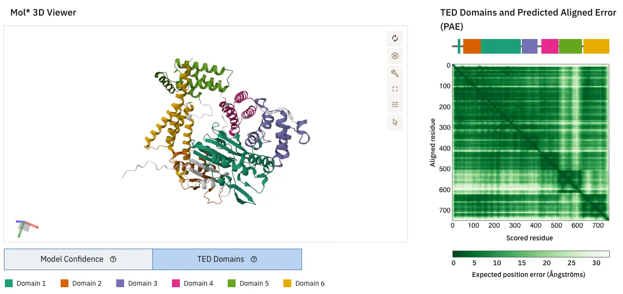 ted image 6